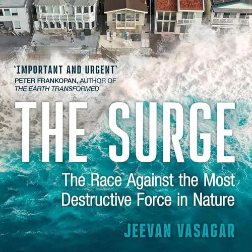 The Surge By Jeevan Vasagar
